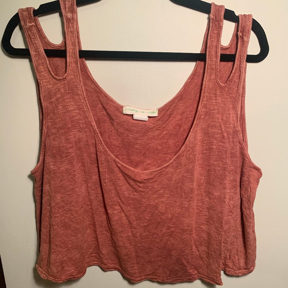 Staring at Stars Rust Crop Top